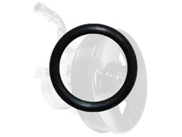 Oring da Bomba de Direção